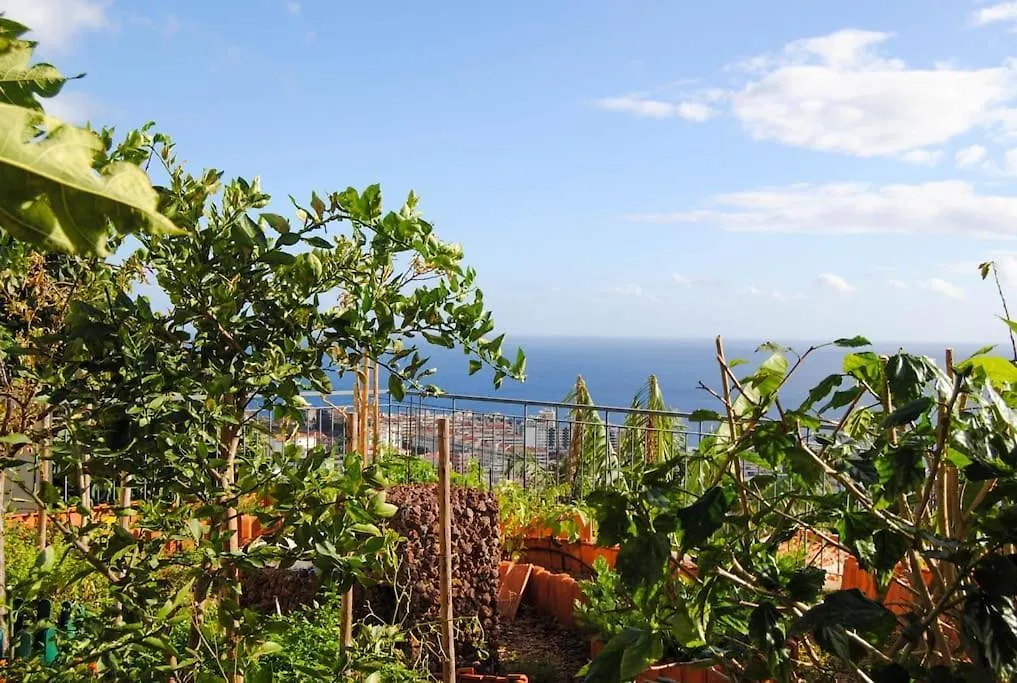 Сasa de vacaciones Jolie Maison Vue Sur L'Ocean Funchal  Portugal